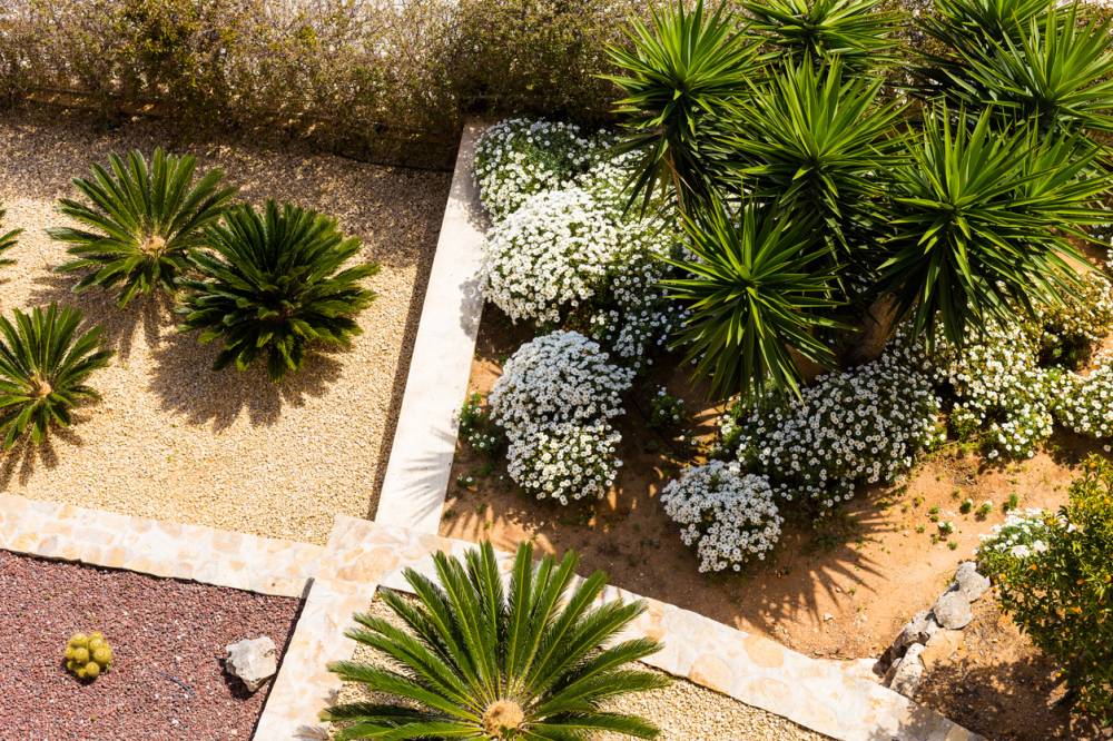 paysagiste jardin penser pour durer littoral azuréen